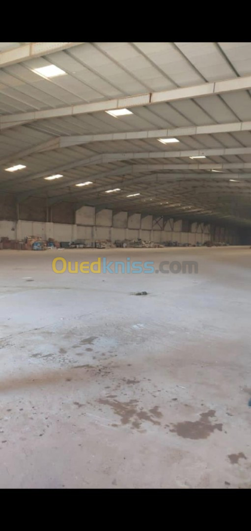 Location Hangar Oran Oued tlelat