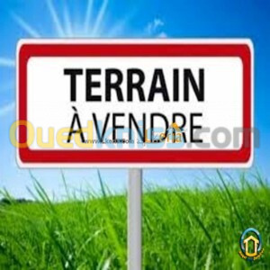 Vente Terrain Oran Bir el djir