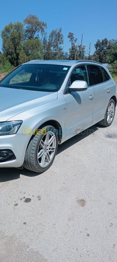 Audi Q5 2010 S Line Pack Tech