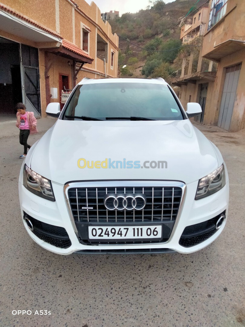 Audi Q5 2011 Quattro