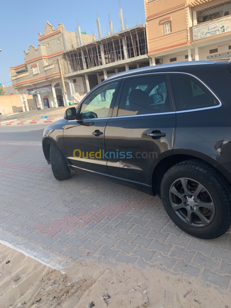 Audi Q5 2010 