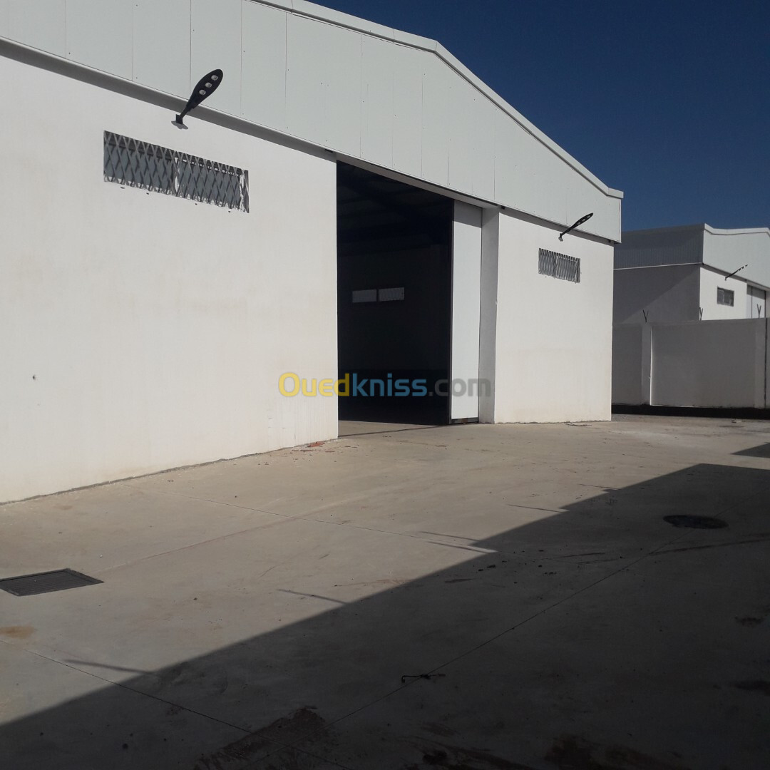 Location Hangar Boumerdès Ouled moussa