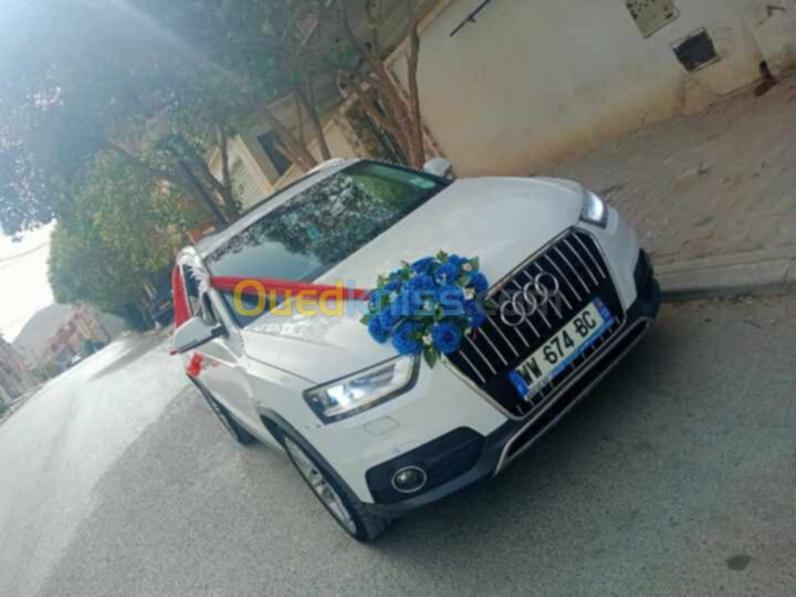 Audi Q3 2013 Off Road