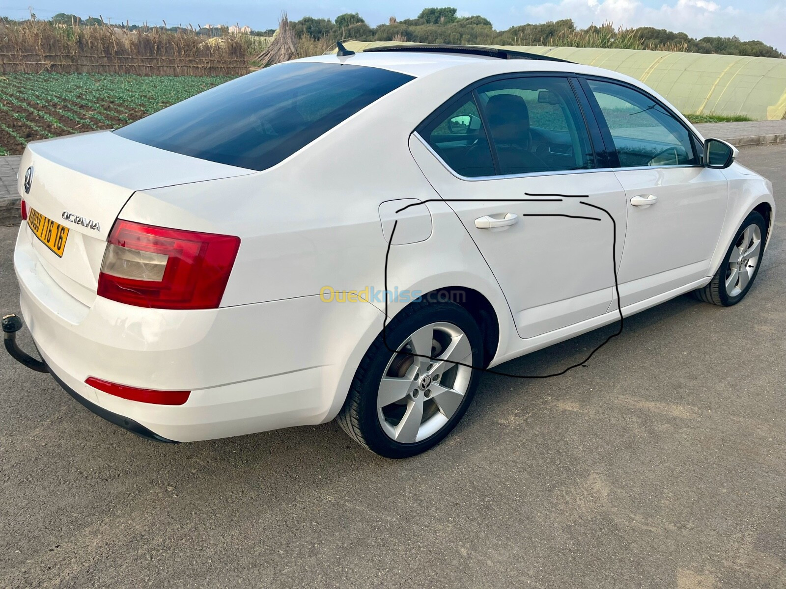 Skoda Octavia 2016 Elegance