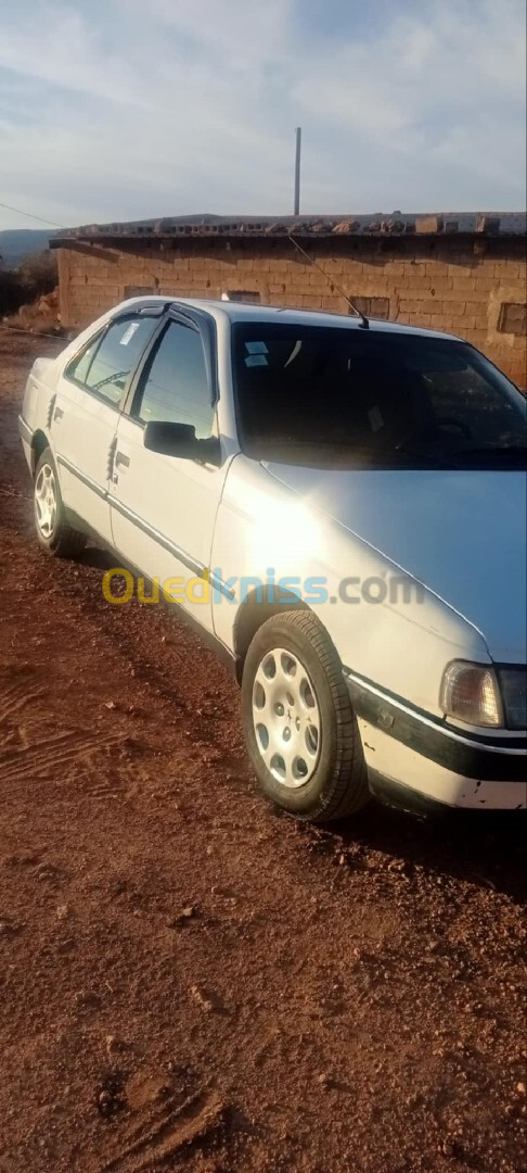 Peugeot 405 1996 405