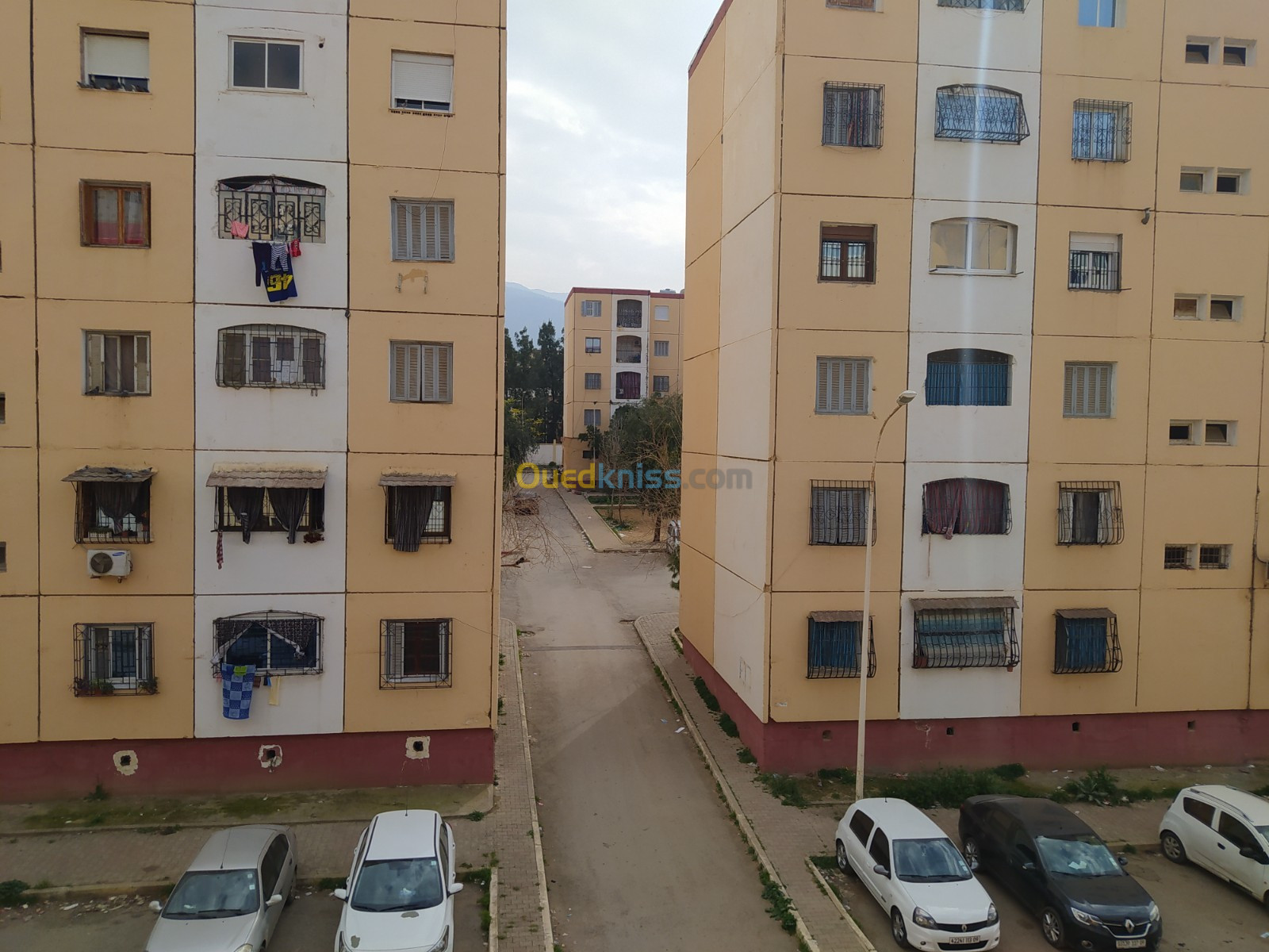 Vente Appartement F3 Blida Ouled yaich