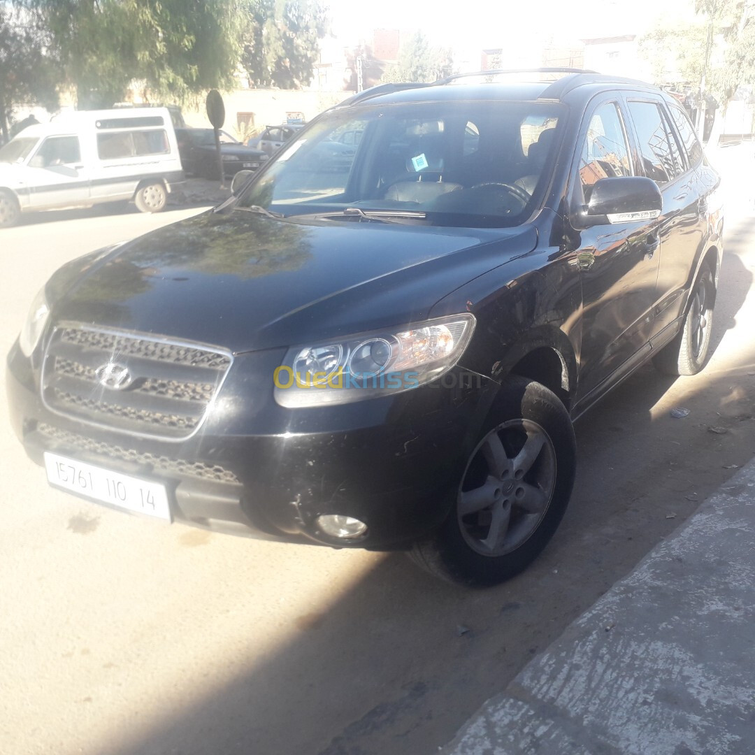 Hyundai SantaFe 2010 SantaFe