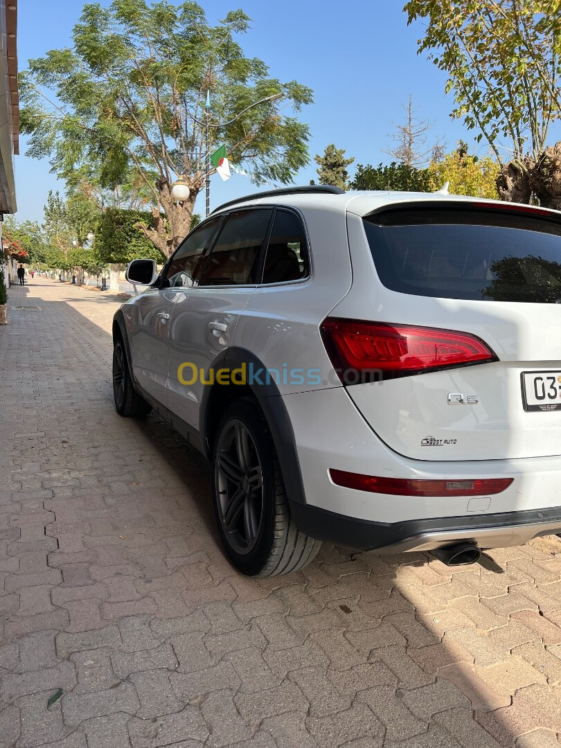 Audi Q5 2013 Off Road