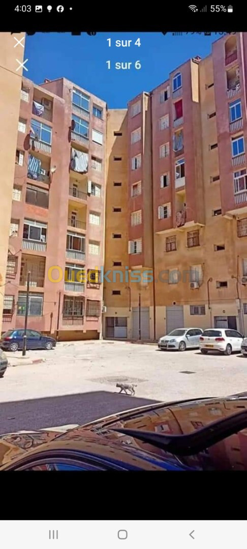 Vente Appartement F3 Alger Zeralda