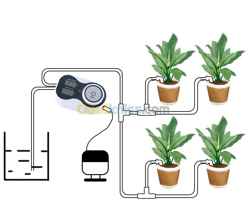 Système d'irrigation des plantes automatique 