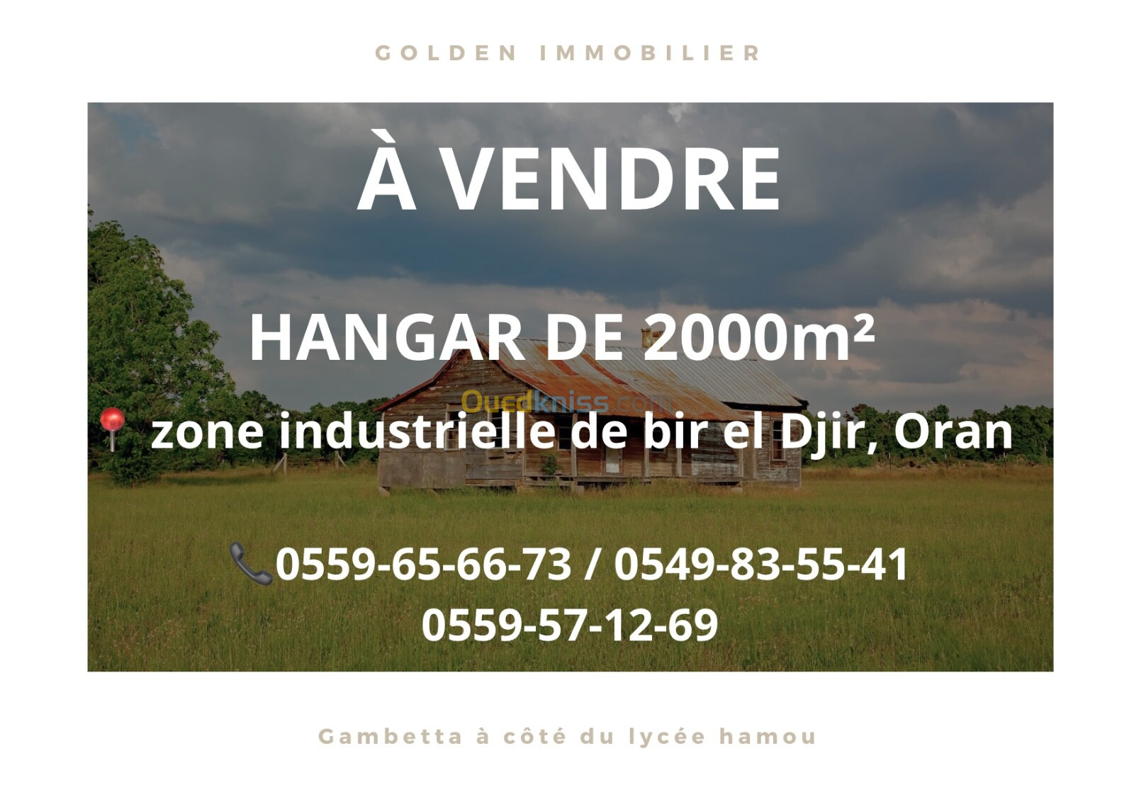 Vente Hangar Oran Bir el djir