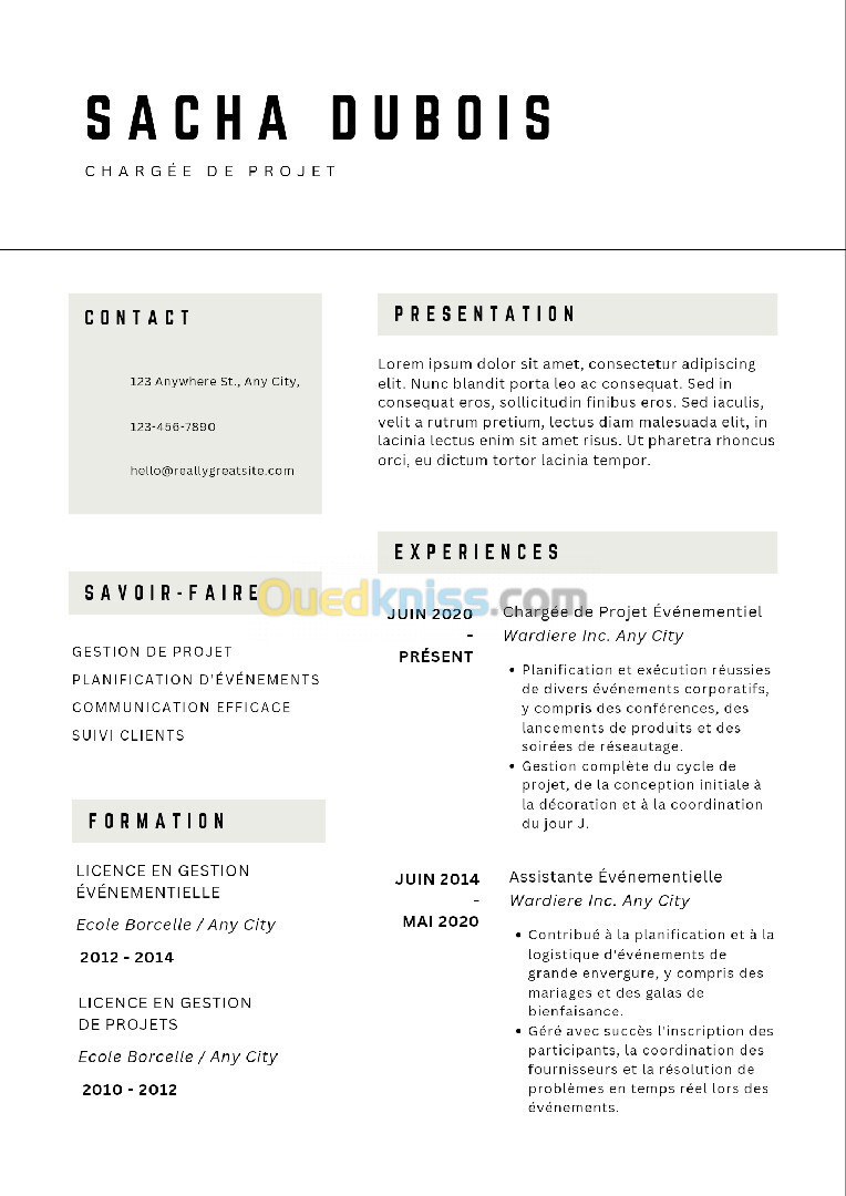 CV professionnel 