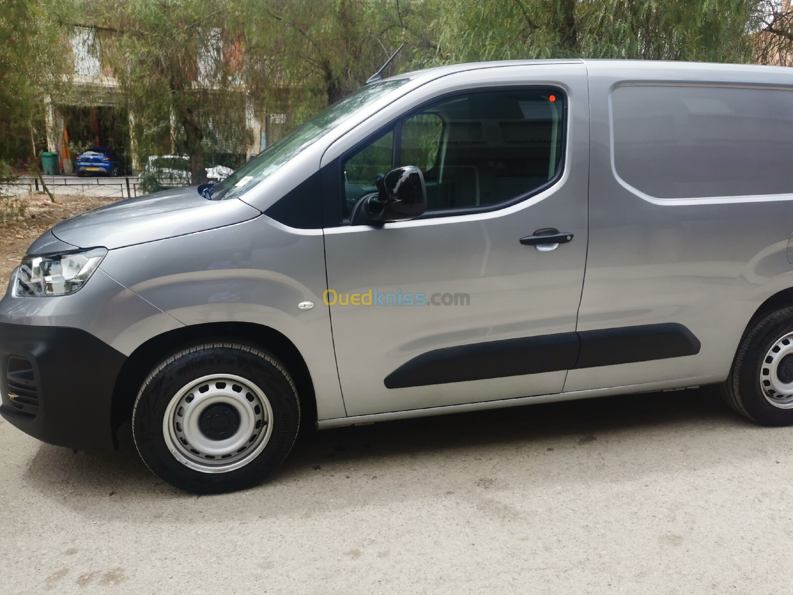 Fiat Professional Doblo 2024 professional