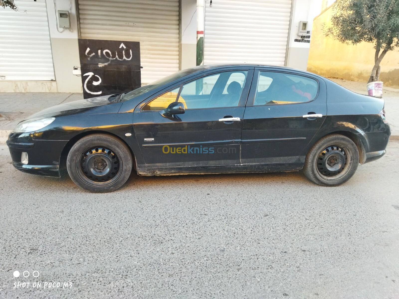 Peugeot 407 2004 407