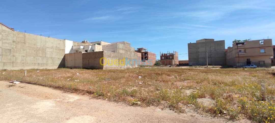 Vente Terrain Mostaganem Hassi maameche