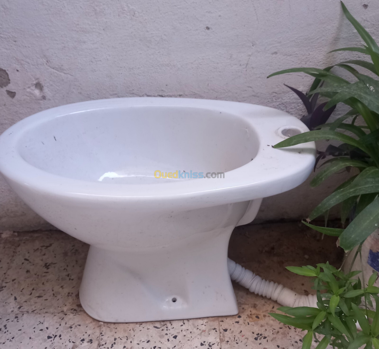 Bidet salle de bain 