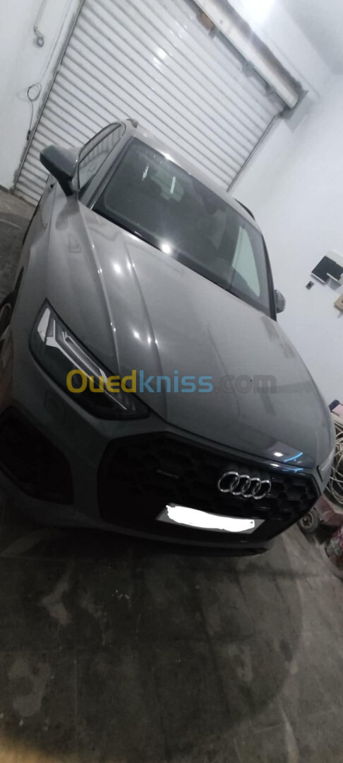 Audi Q5 slin 2024 Qeatro