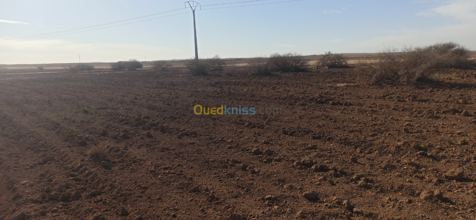 Vente Terrain Agricole Djelfa Ain oussara