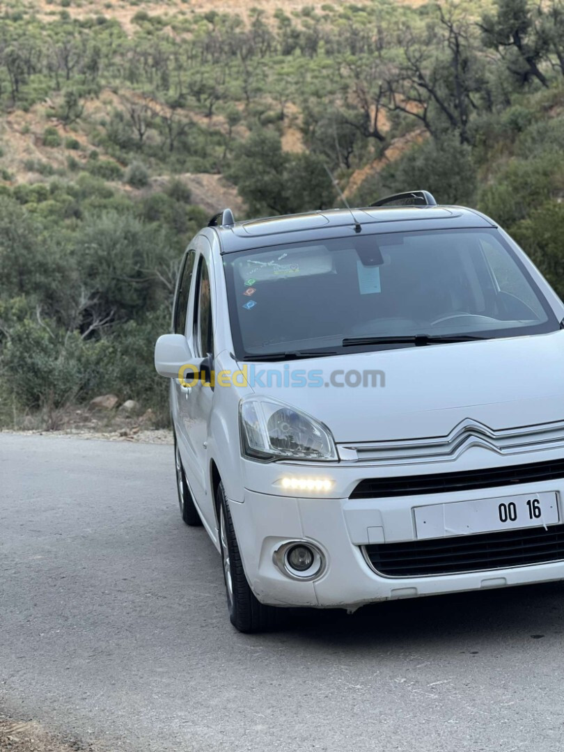 Citroen Berlingo 2015 Berlingo