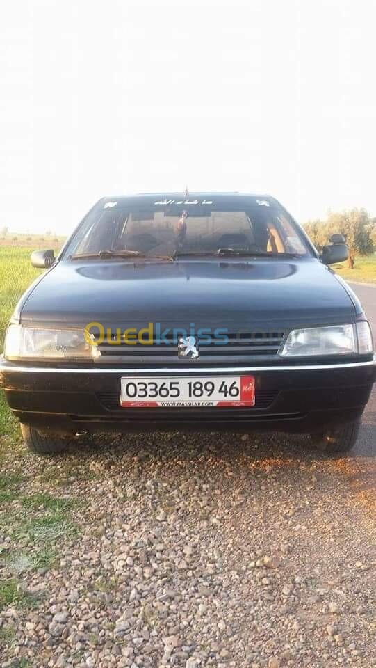 Peugeot 405 1989 405