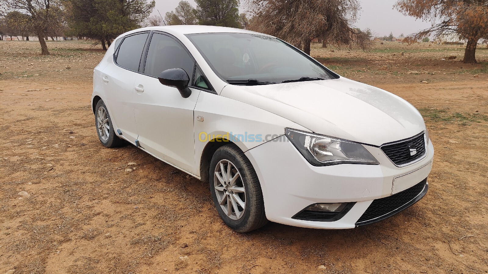 Seat Ibiza 2012 Fully