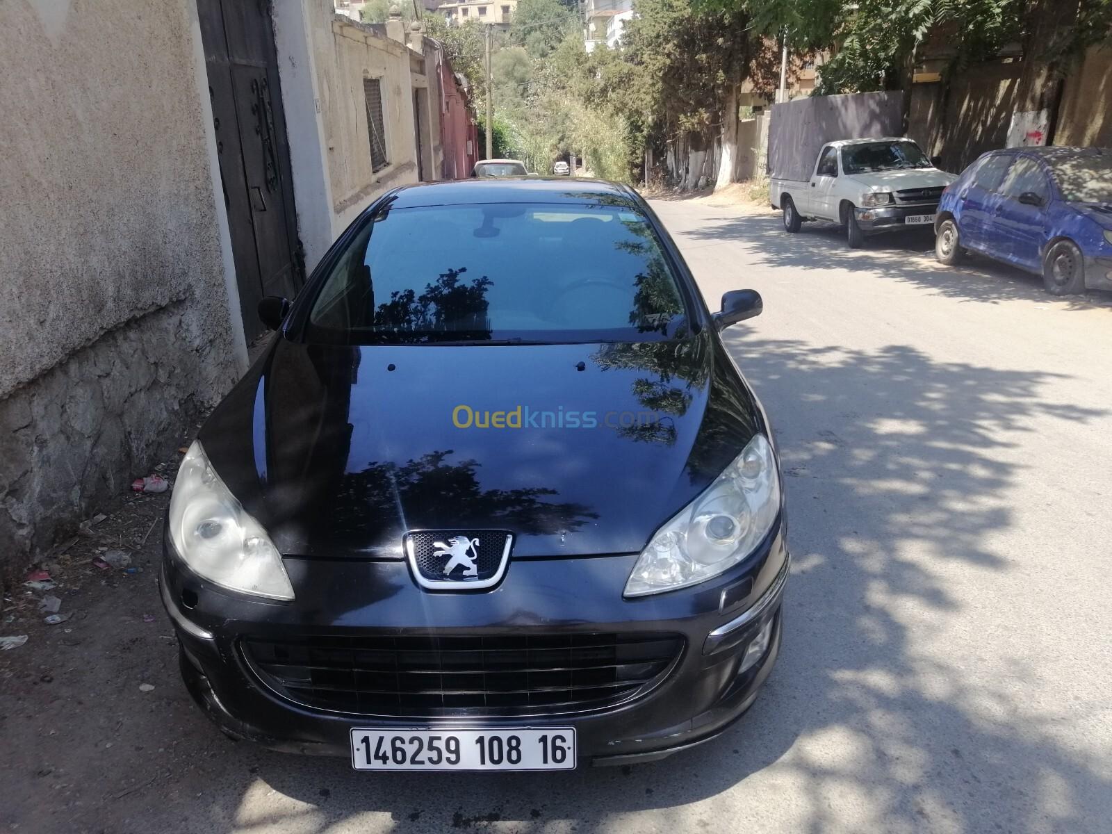 Peugeot 407 2008 407