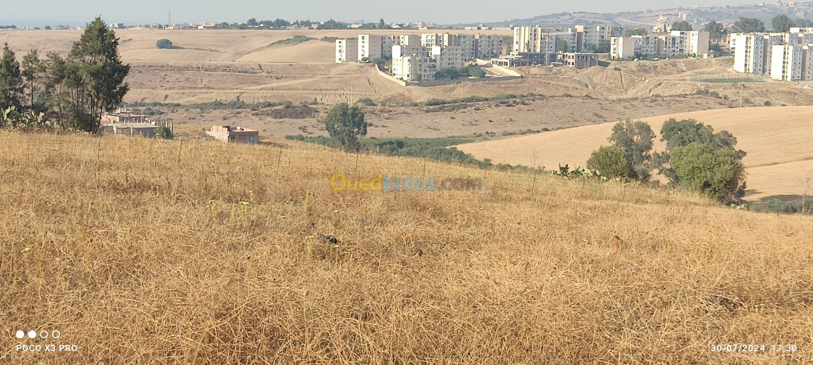 Vente Terrain Boumerdès Tidjelabine