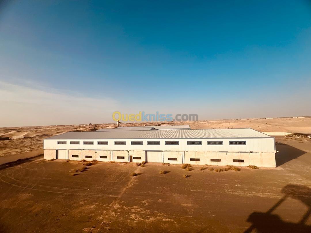 Vente Usine El Oued El oued