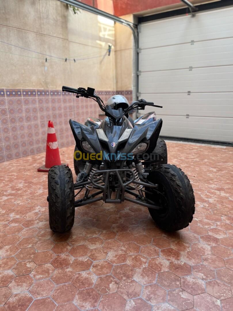 Vms Quad 250 2024