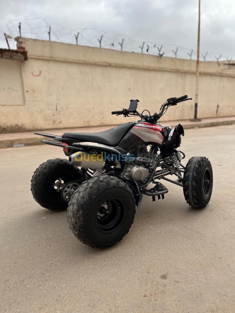 Vms Quad 250 2024