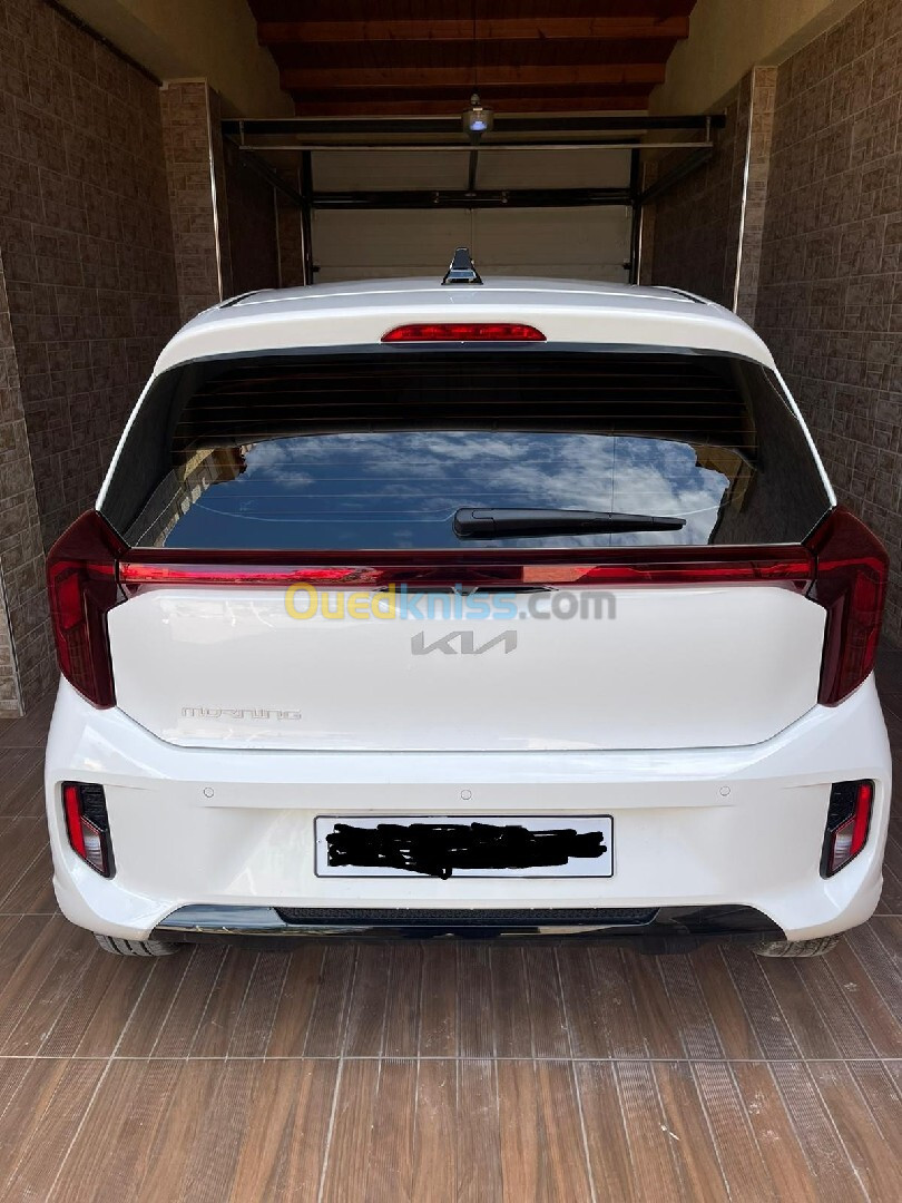 Kia PICANTO 2024 MORNING