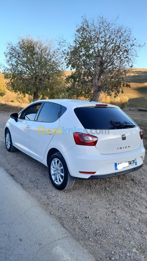 Seat Ibiza 2014 Fully