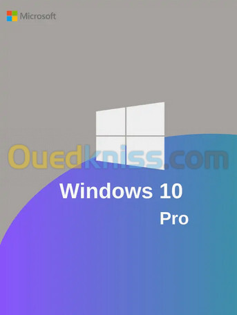 Windows 10/11 Pro A Vie