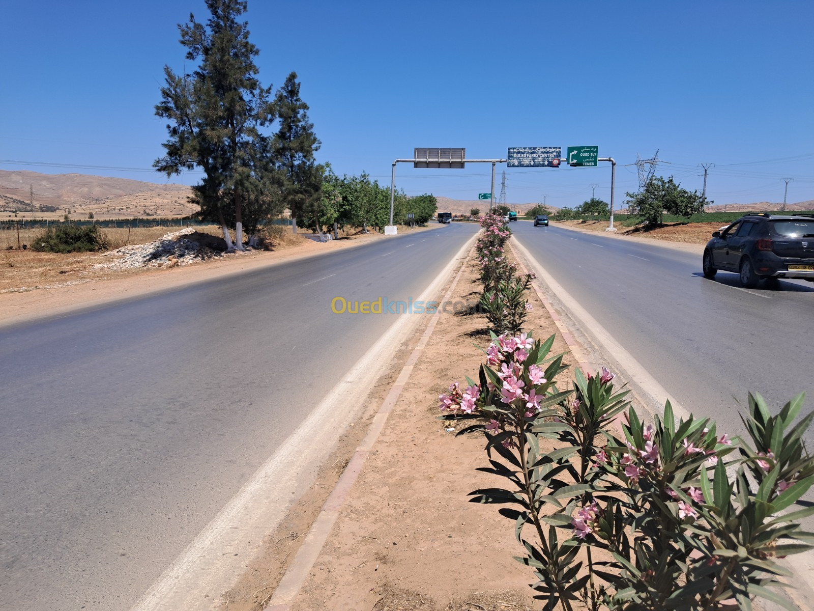 Location Terrain Chlef Chettia