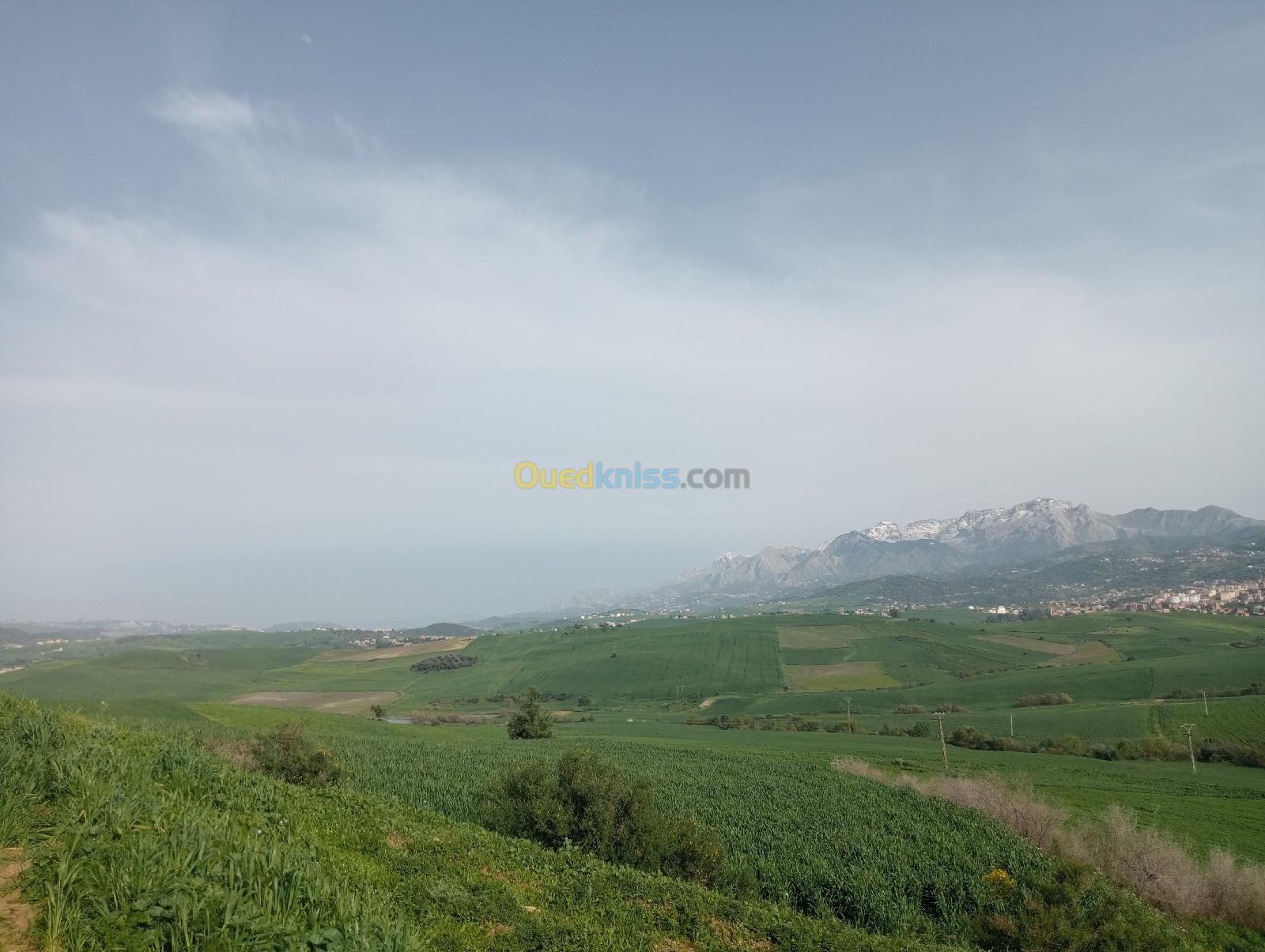 Vente Terrain Agricole Tizi Ouzou Draa el mizan