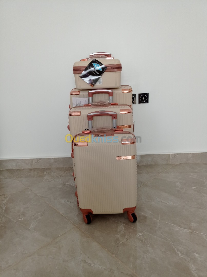 Valise de voyage 