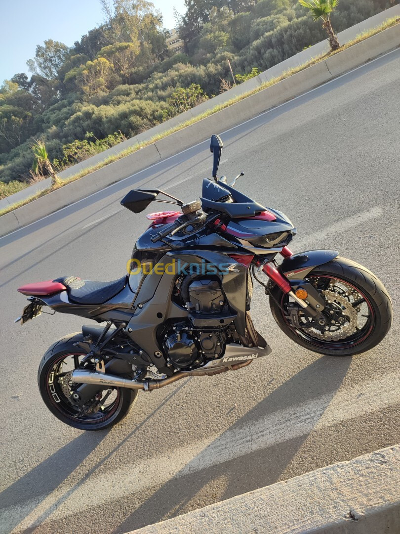 Kawasaki Z1000 robo 2018