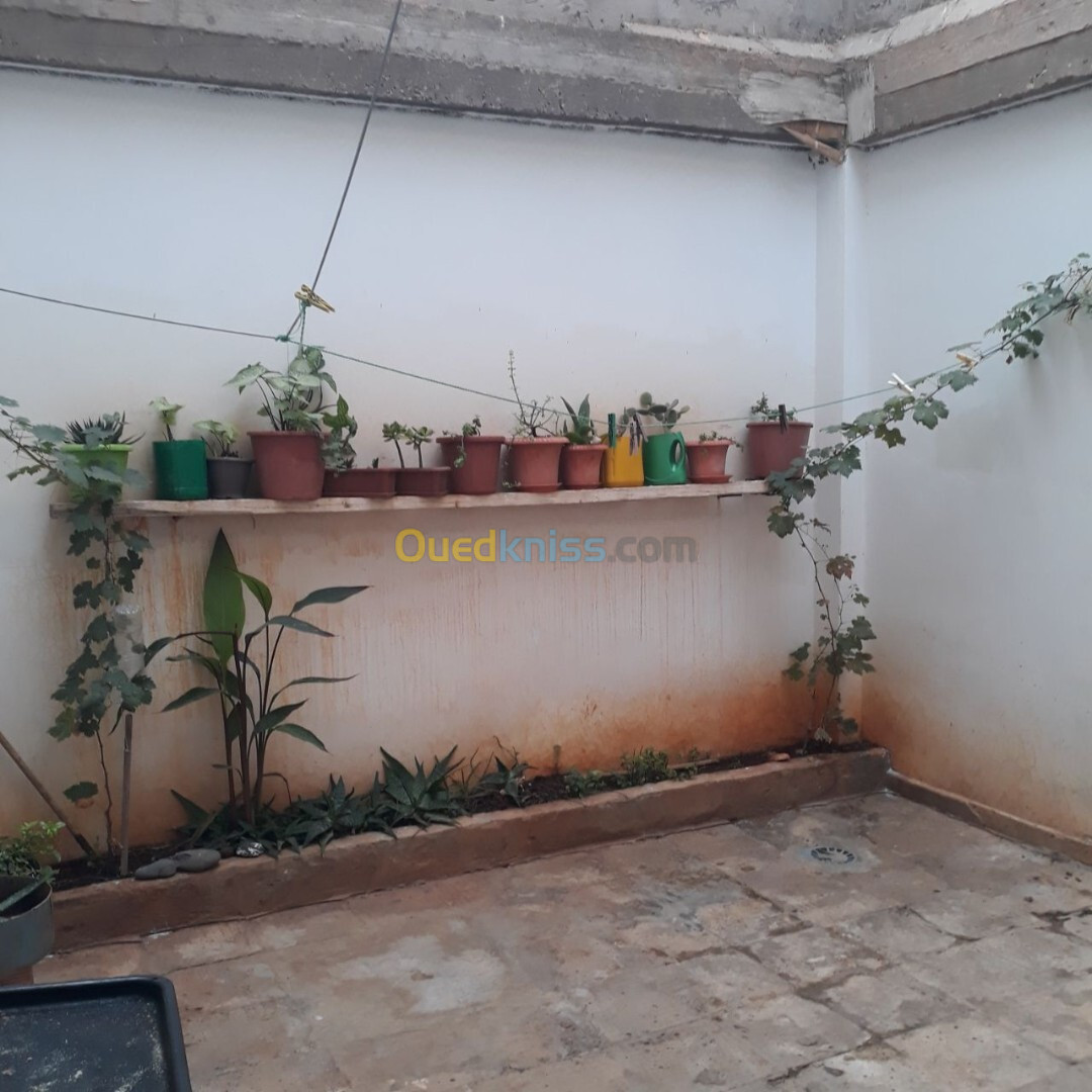 Vente Villa Aïn Témouchent Ouled kihal