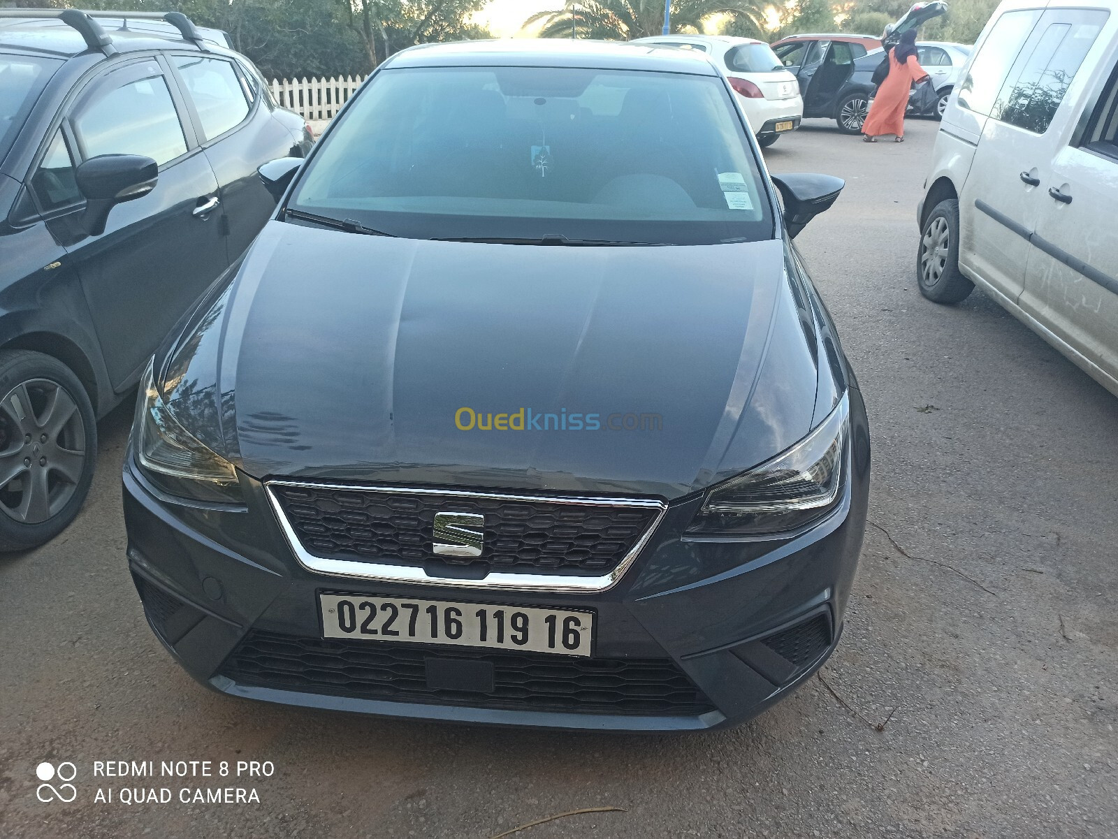 Seat Ibiza 2019 Ibiza