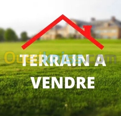 Vente Terrain Boumerdès Boumerdes