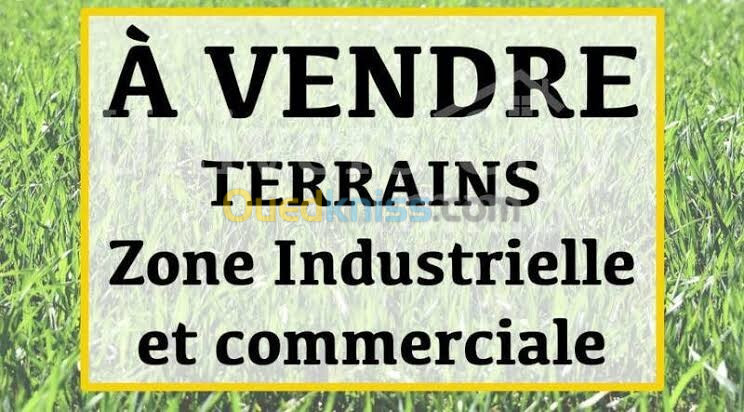 Vente Terrain Mila Chelghoum laid