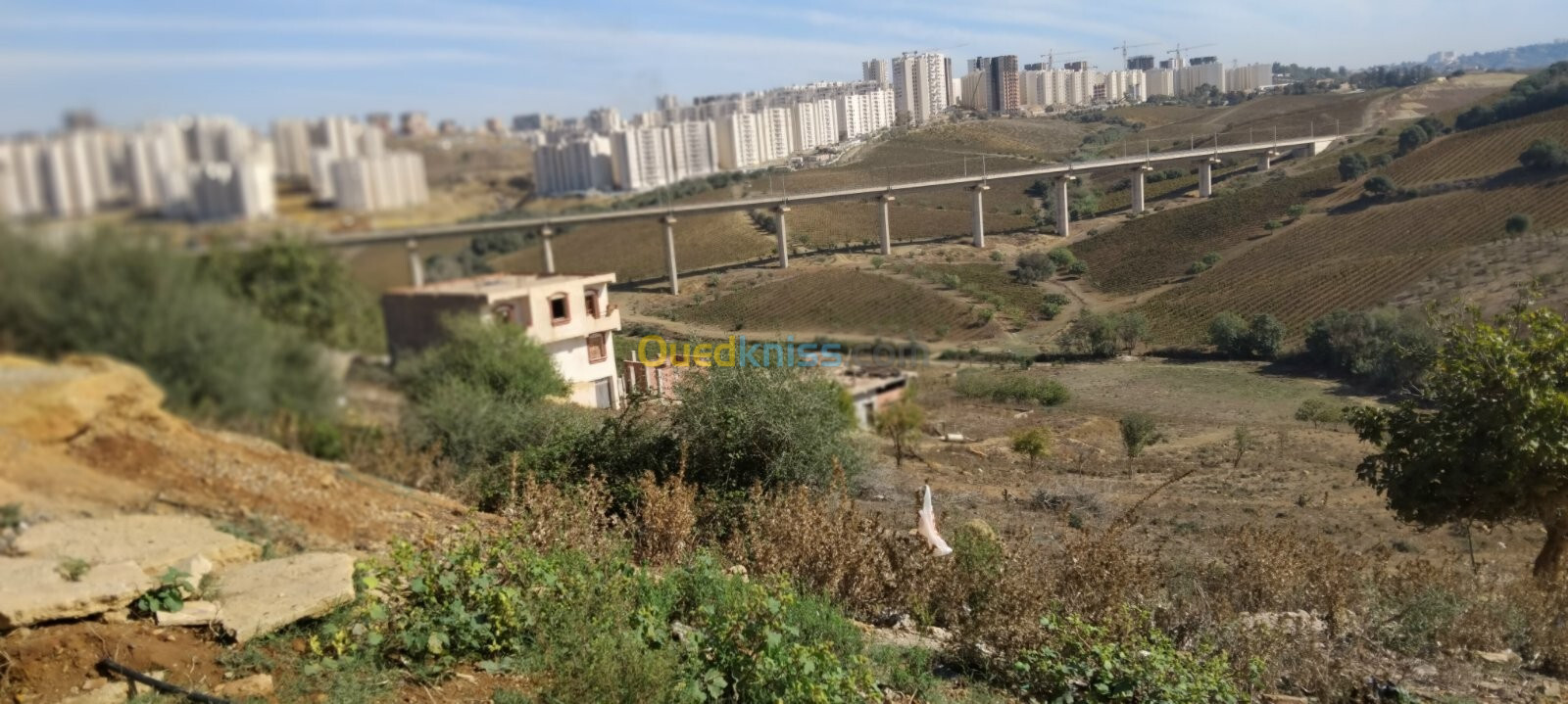 Vente Terrain Alger Douera