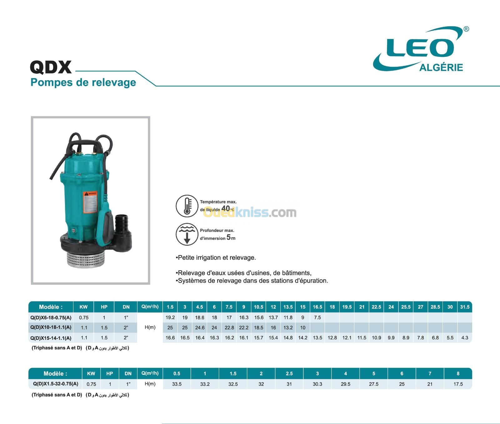 LEO QDX POMPE SUBMERSIBLE DOMESTIQUE