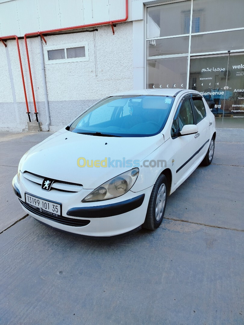 Peugeot 307 2001 307