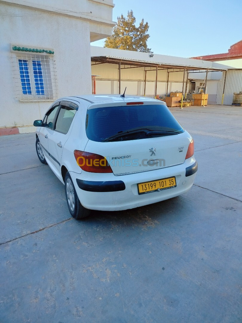 Peugeot 307 2001 307