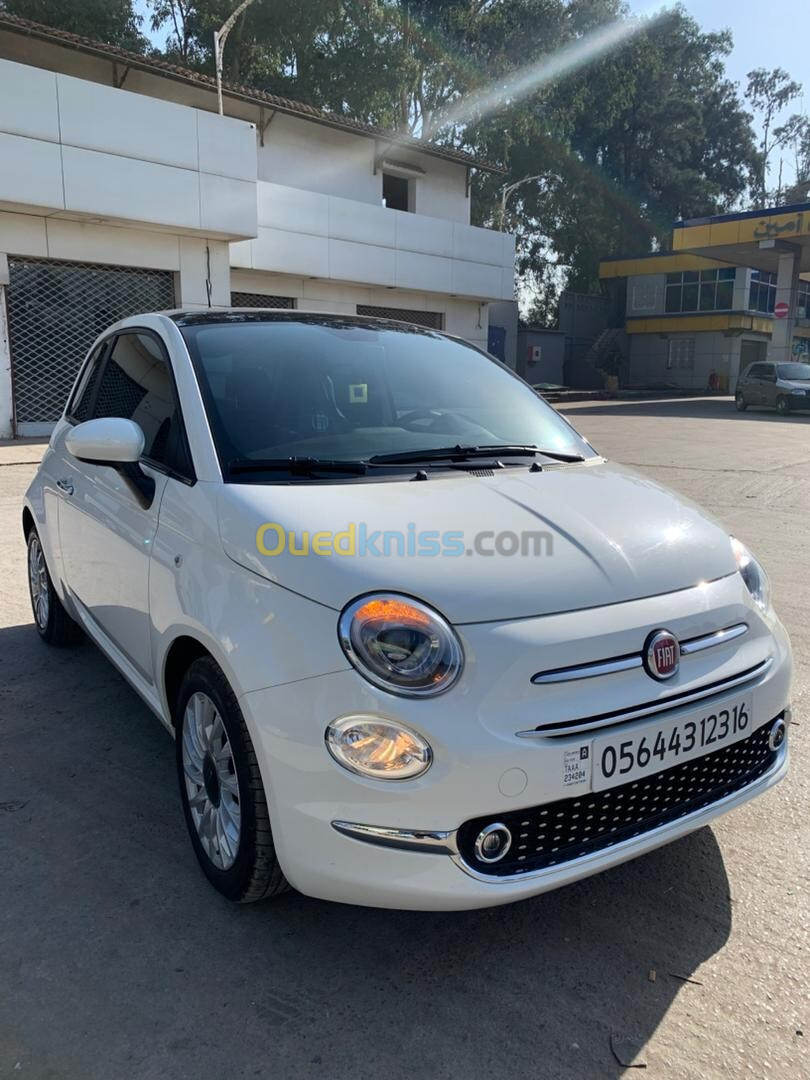 Fiat 500 2023 club