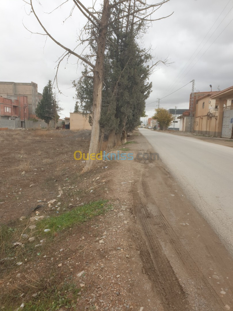 Vente Terrain Sétif El eulma