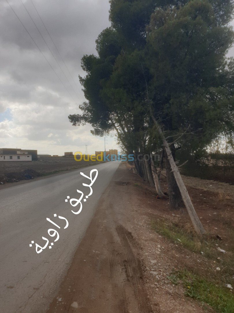 Vente Terrain Sétif El eulma