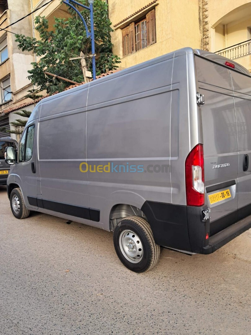 Fiat Ducato L2H2 2024