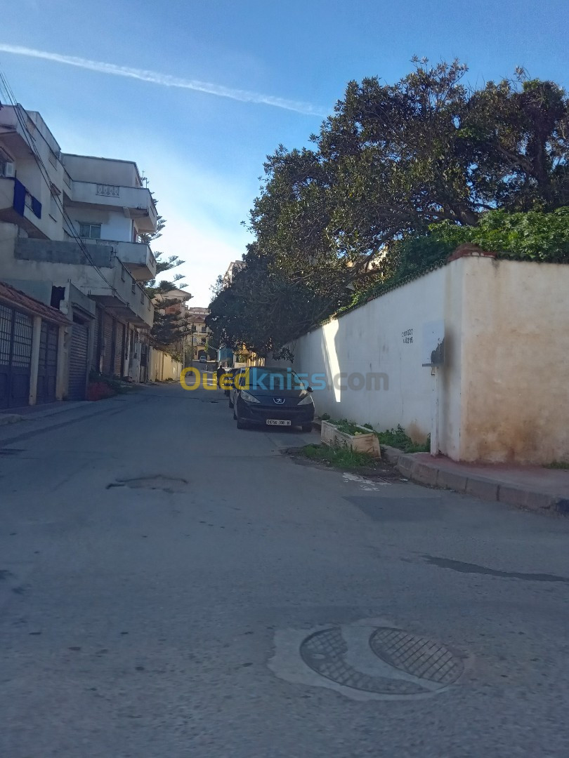 Vente Villa Alger Ain taya